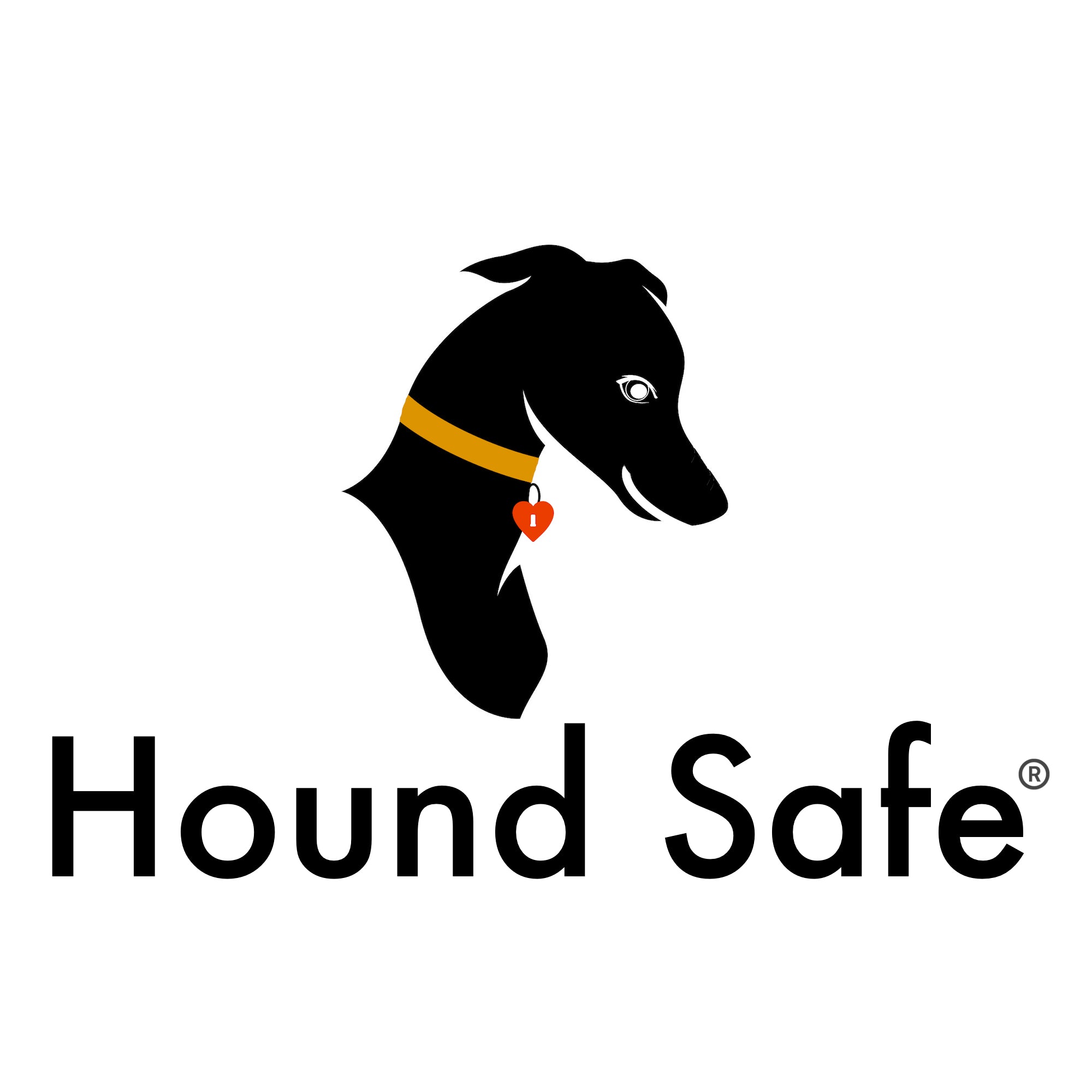 Leash Safety Strap-Light Duty Woven Cord – Hound Safe